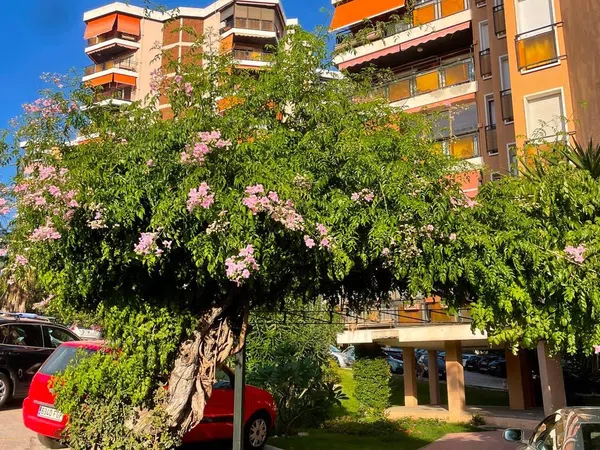 Piso en Avenida San Isidro, 8, Pinares de San Antón - Foto 3