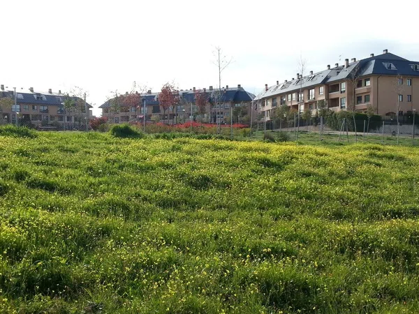 Dúplex en Calle Peñalara, 4, Zona norte - Foto 2