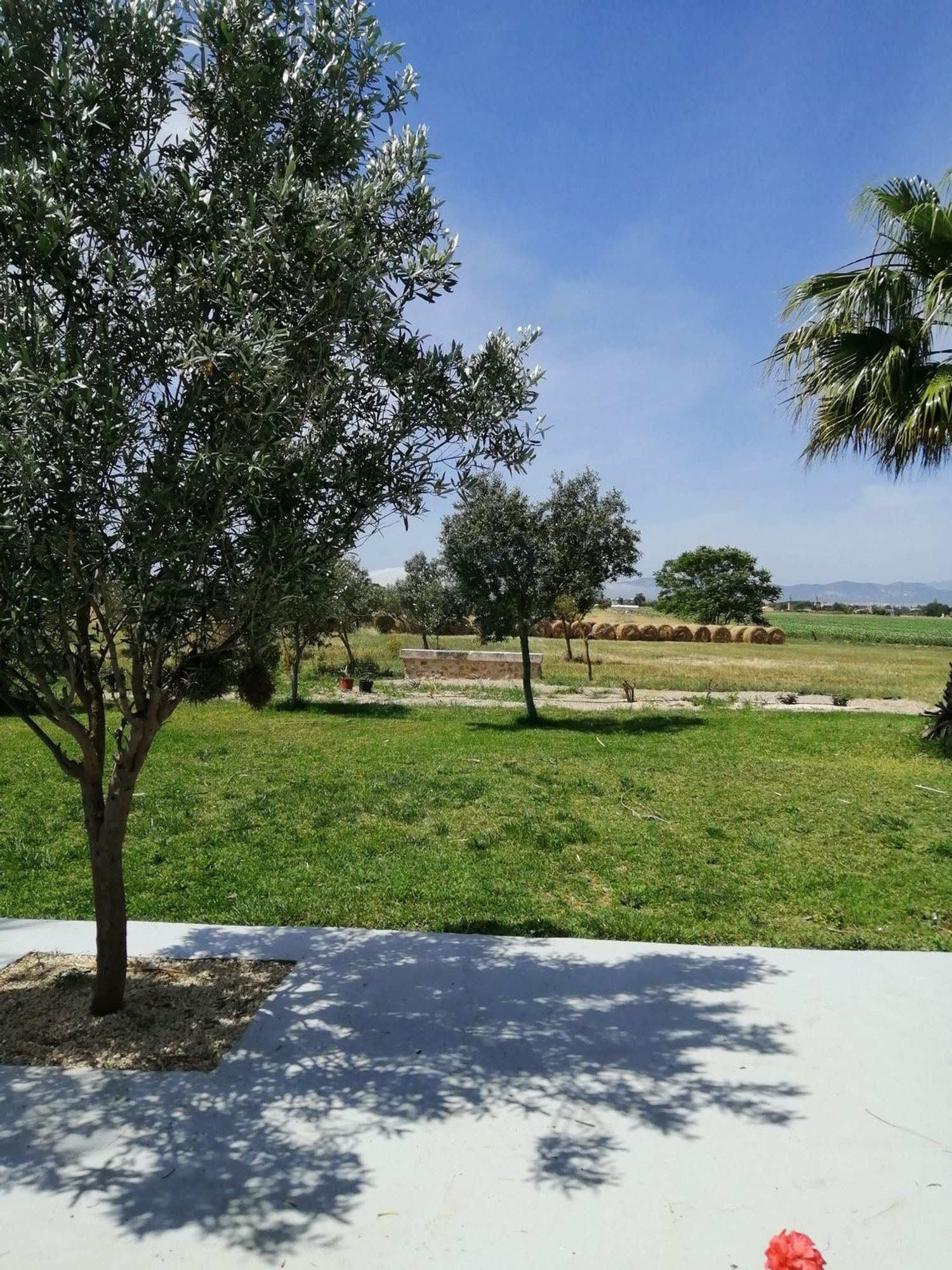 Casa independiente en Diseminado 8730- Sa Casa Blanca, 4 - Foto 7