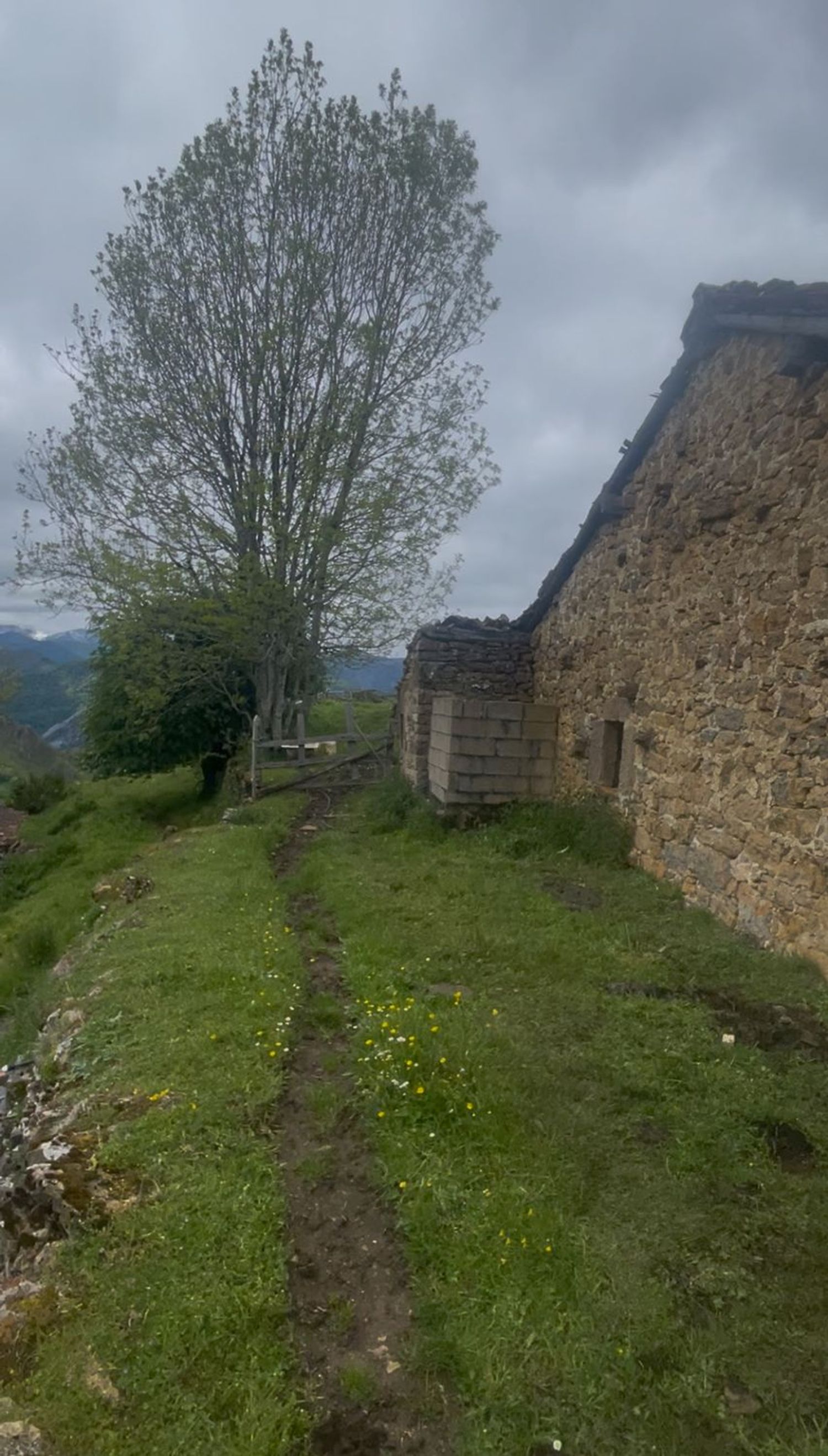 Finca rústica en Camino Camín Real de la Mesa a Bustariega, 3 - Foto 16
