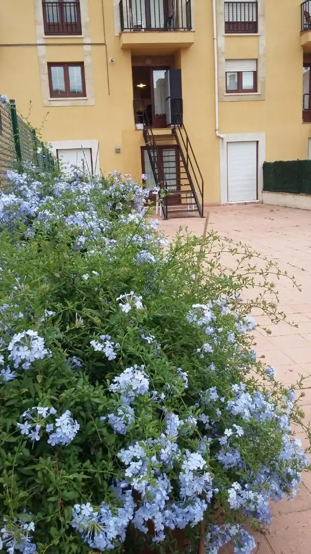Piso en  Barrio Ruilobuca 47 - Foto 43