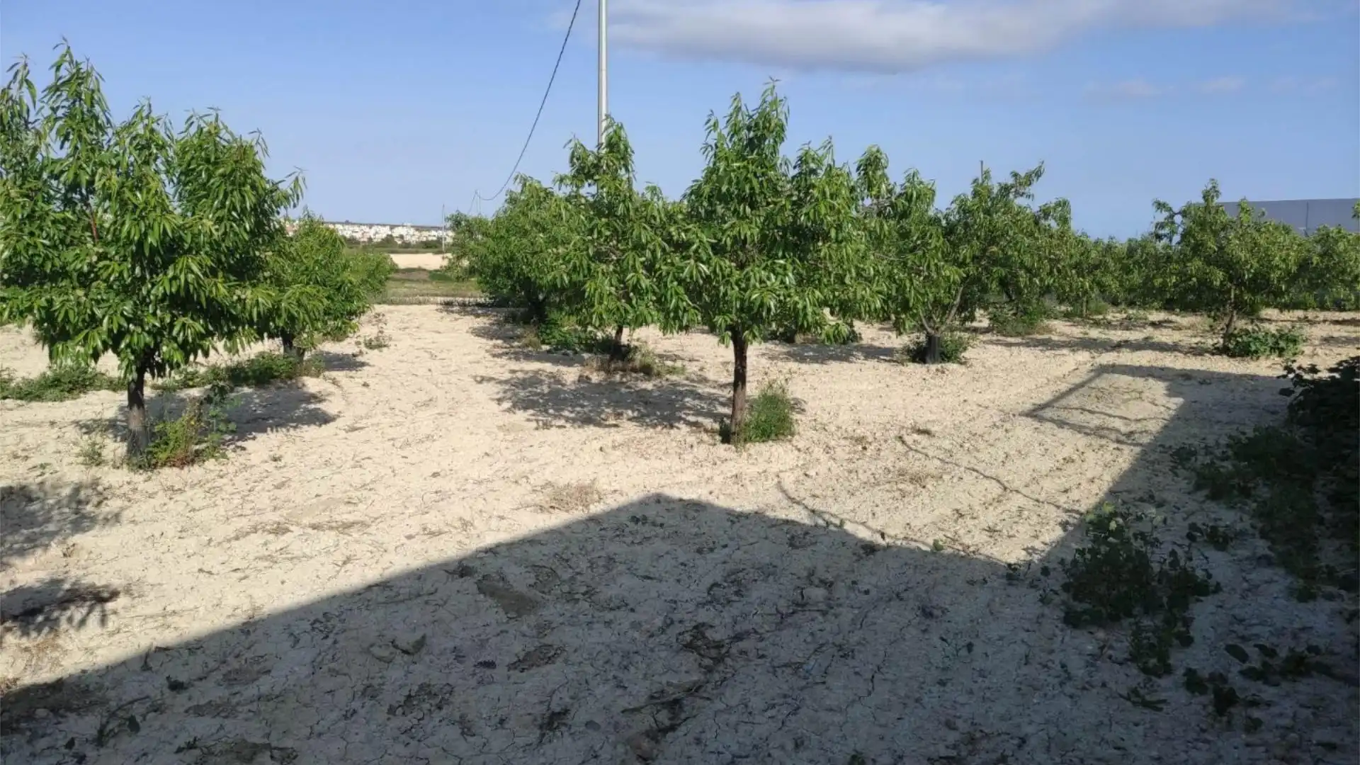 Finca rústica en  Diseminado Urreas 11 - Foto 42