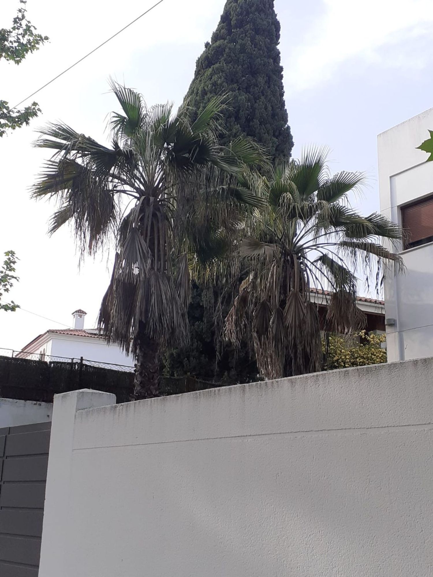 Casa o chalet independiente en Avenida de la Arruzafa, Brillante - Foto 12