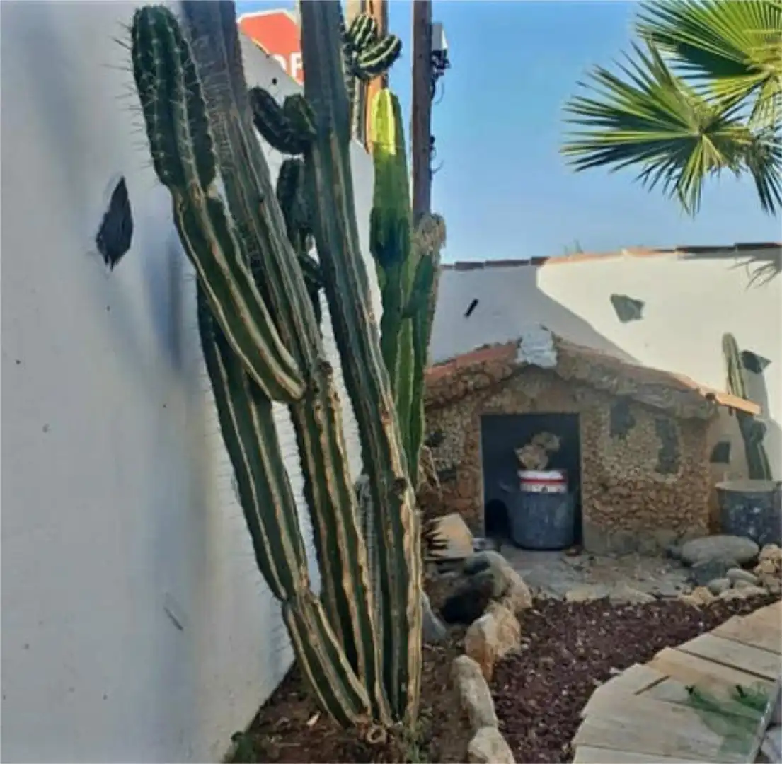 Apartamento en Tijoco Bajo Adeje - Foto 7