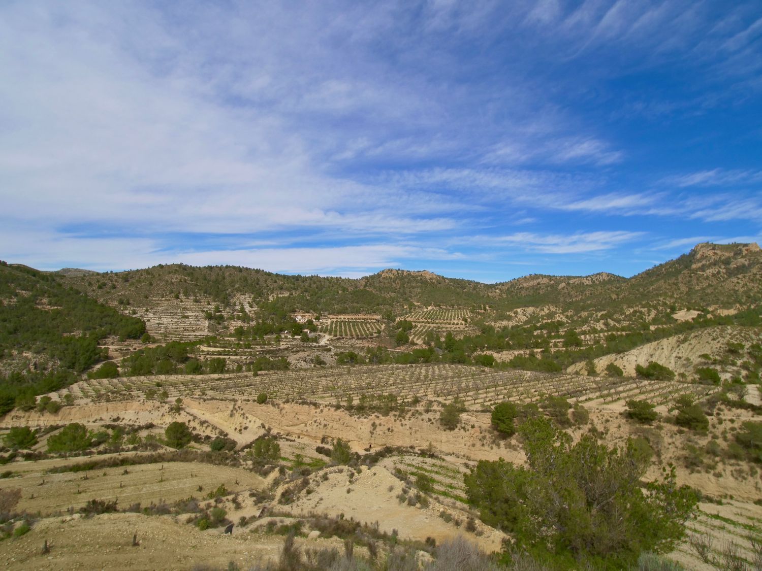 Casa independiente en Partida Almadrava, 1 - Foto 12