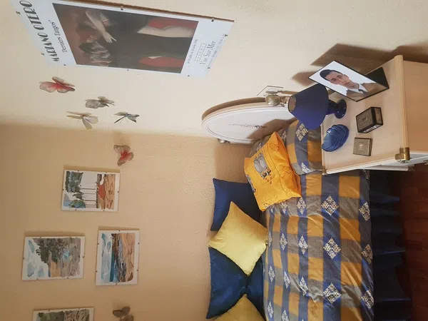 Piso en paseo del Doctor Torres Villarroel, 51 - Foto 12