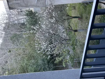 Piso en  Avinguda Sant Jordi 121 - Foto 5