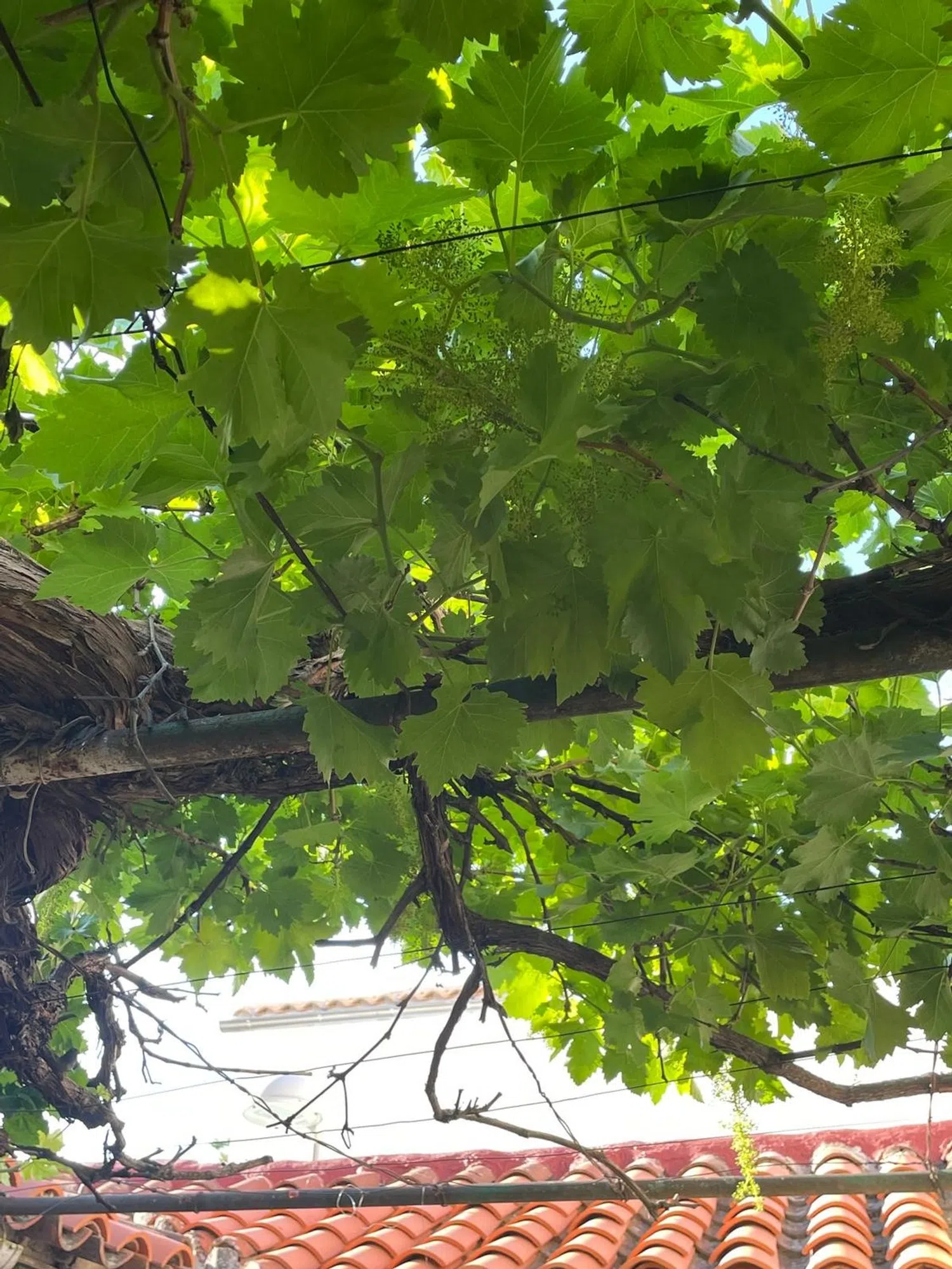 Chalet pareado en Colonia Torres Garrido, 49 - Foto 7