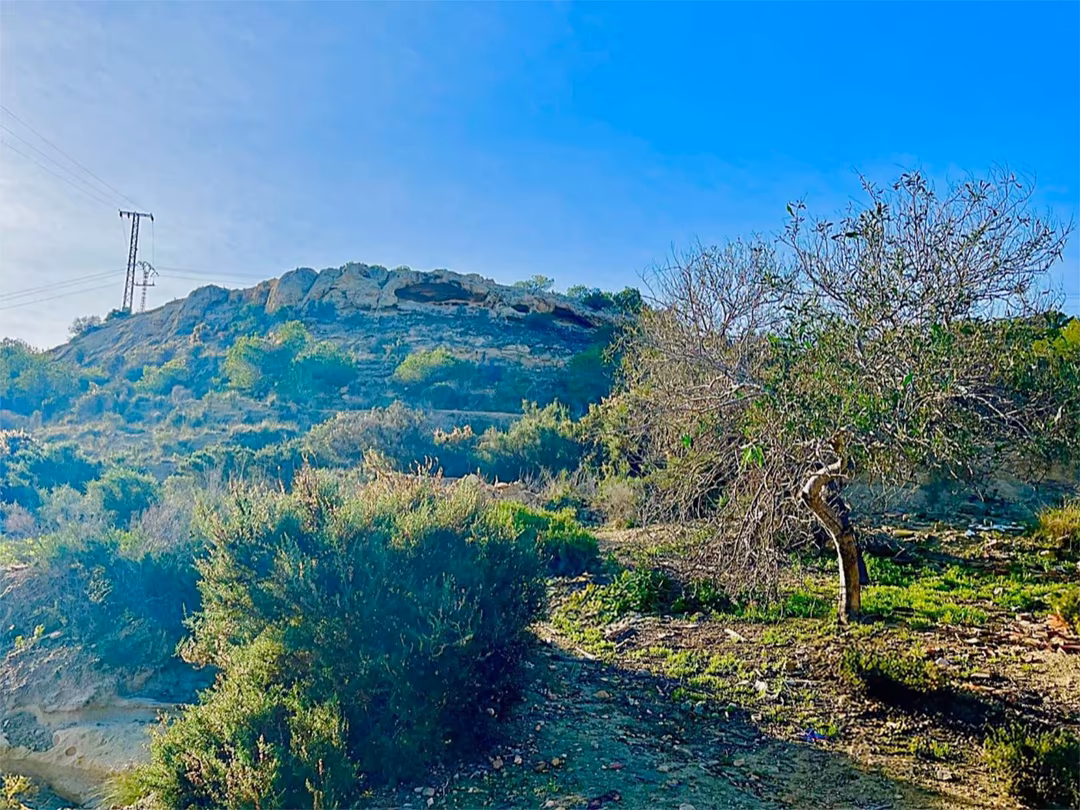 Finca rústica en  Camino Viejo de Saladas 10 - Foto 12