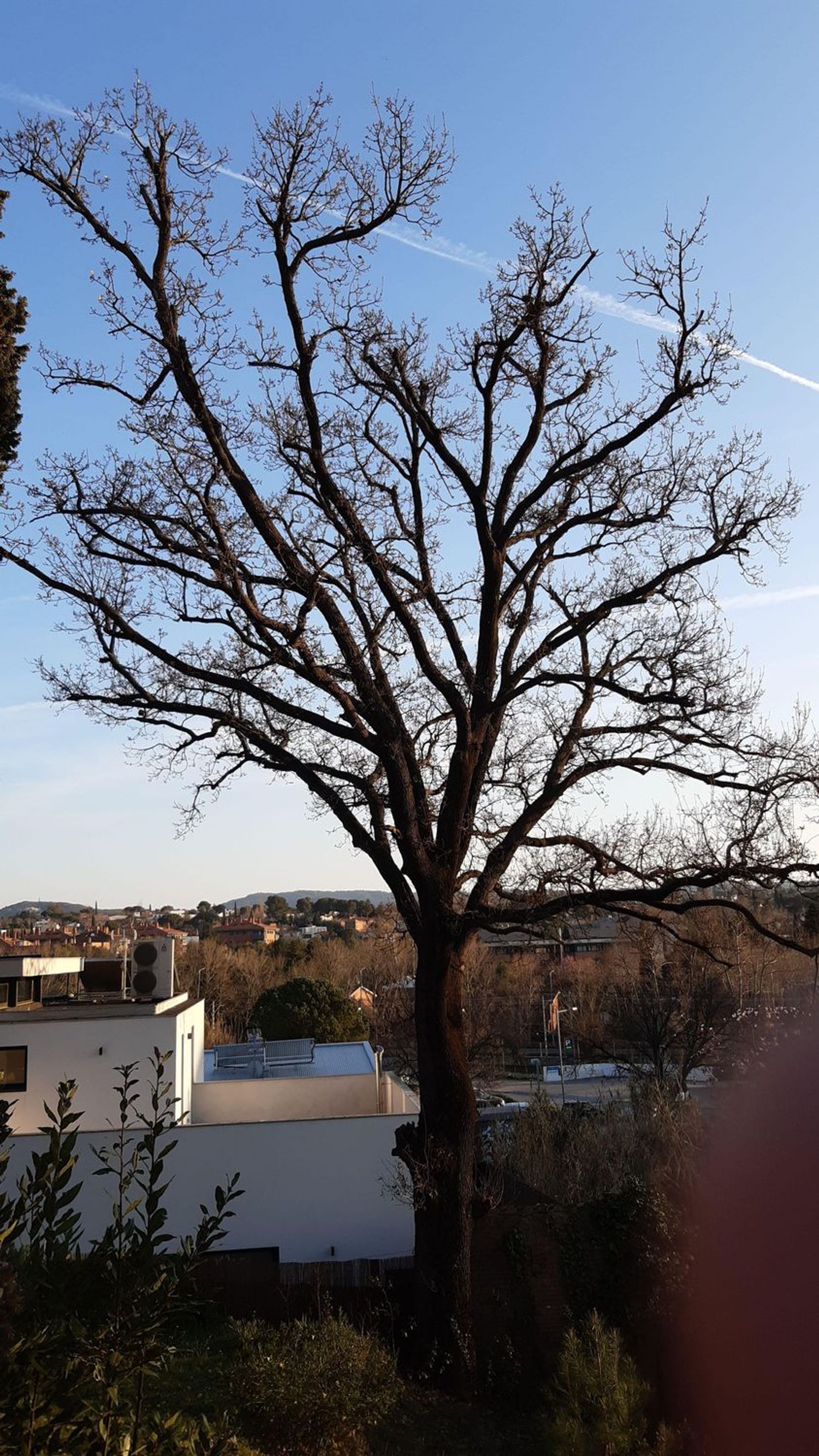 Casa independiente en Can Matas - Foto 10