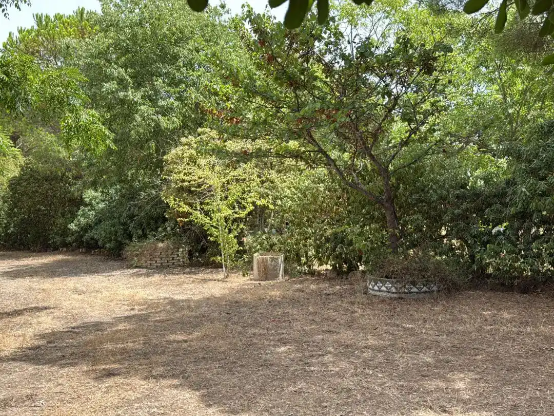 Finca rústica en  Camí de Sant Joan 1 - Foto 4