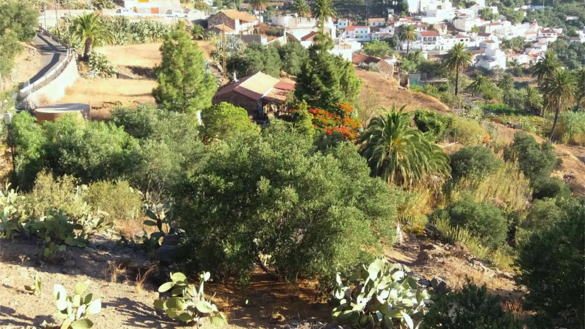 Finca rústica en calle Calle Espíritu Santo 15 - Foto 26