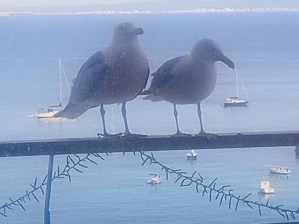 Ático en avenida de Son Matíes, 2 - Foto 7