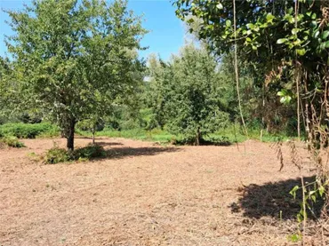 Chalet en BOVEDA - AMOEIRO - OURENSE - Foto 4