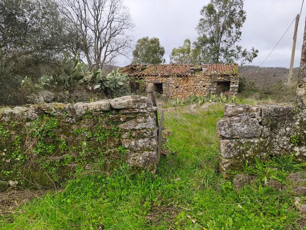 Finca rústica en Poblado los Arroyos de Abajo, 39 poligonoparcela - Foto 5