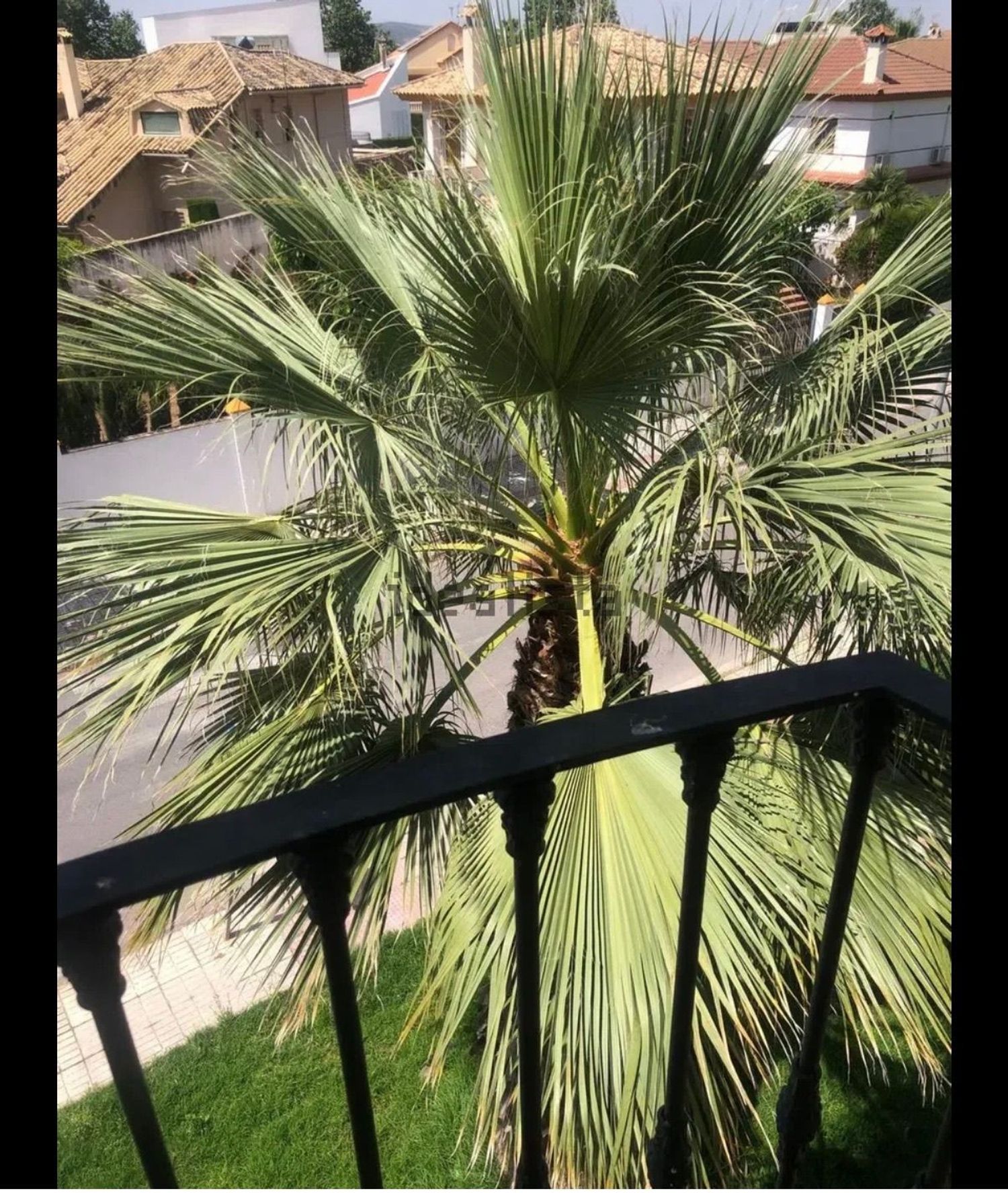 Piso en Avenida Góngora, 9 b - Foto 39