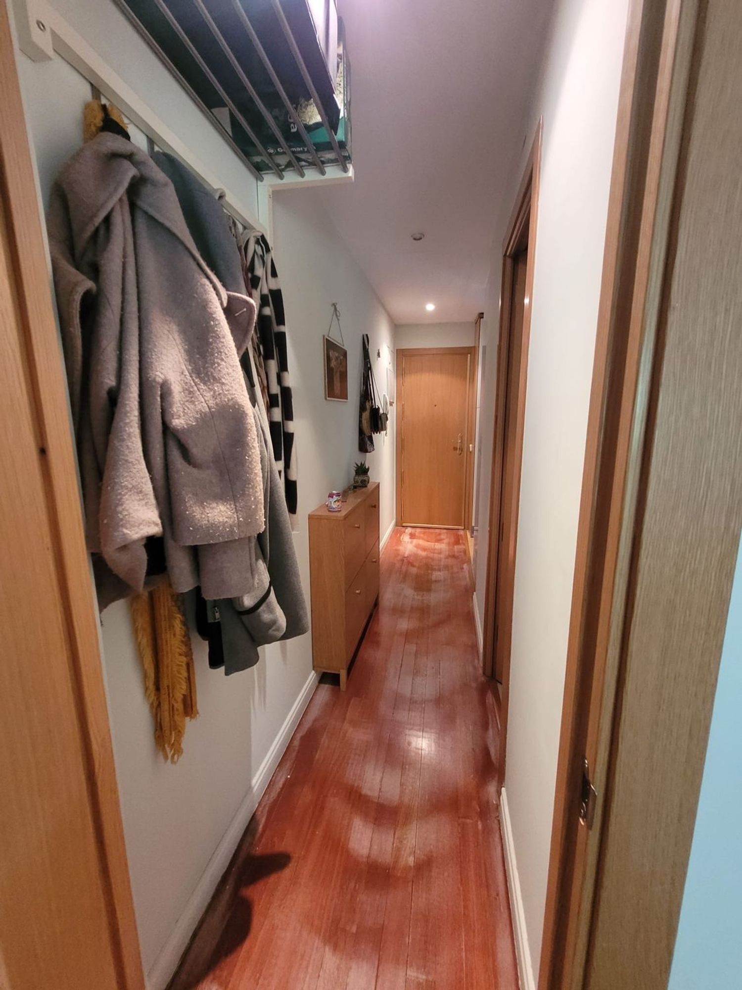 Estudio en tribulete, 25 - Foto 5