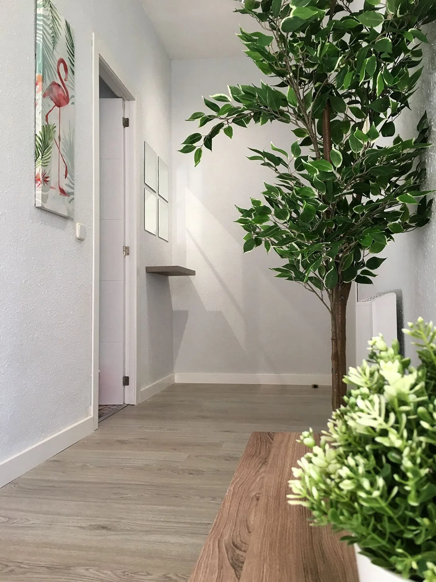 Piso en calle Concordia, 10 - Foto 3