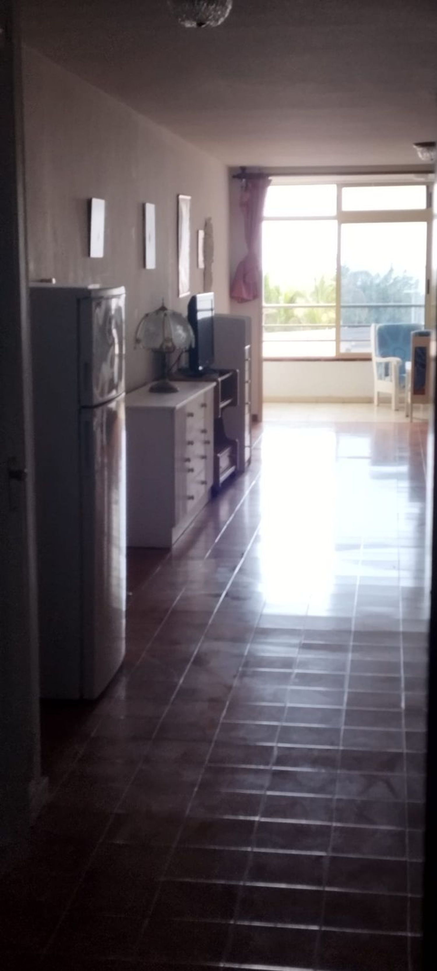 Estudio en Avenida de Cristobal Colón, 26 - Foto 3