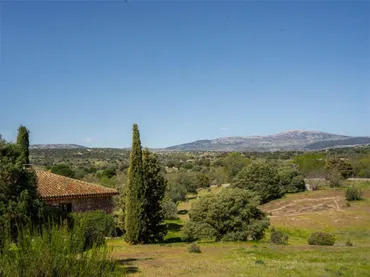 Finca rústica en Valdemorillo - Foto 40