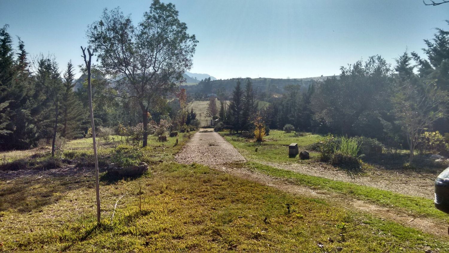 Finca rústica en Polígono Dehesa nueva s/n - Foto 7