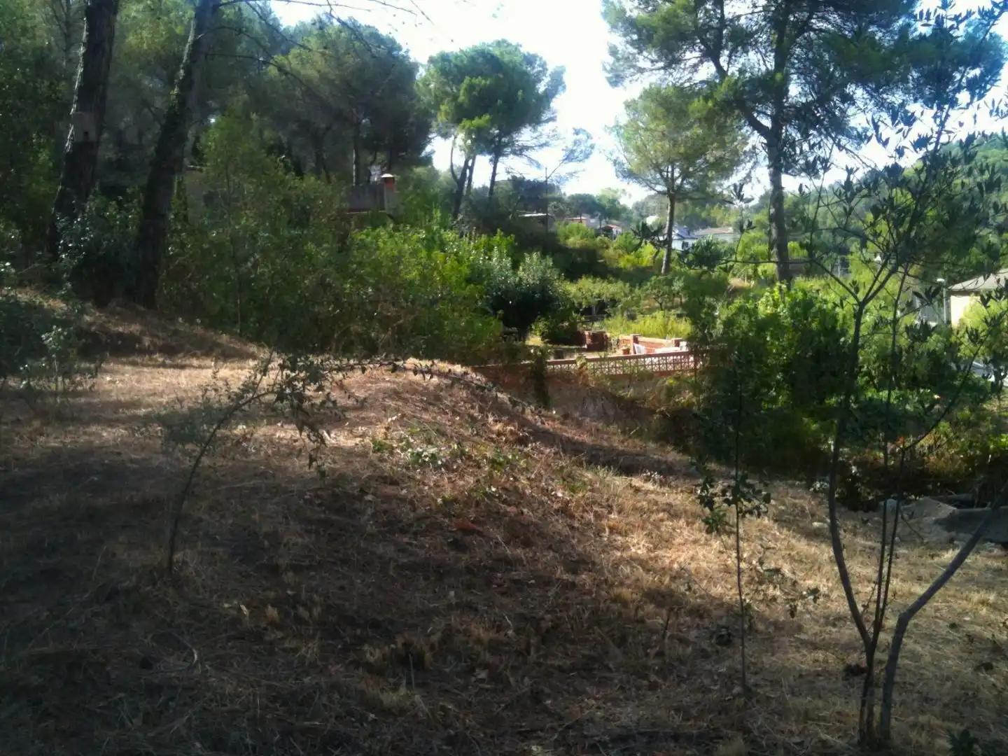 Terreno Residencial en  Passeig Walt Disney 23 - Foto 6