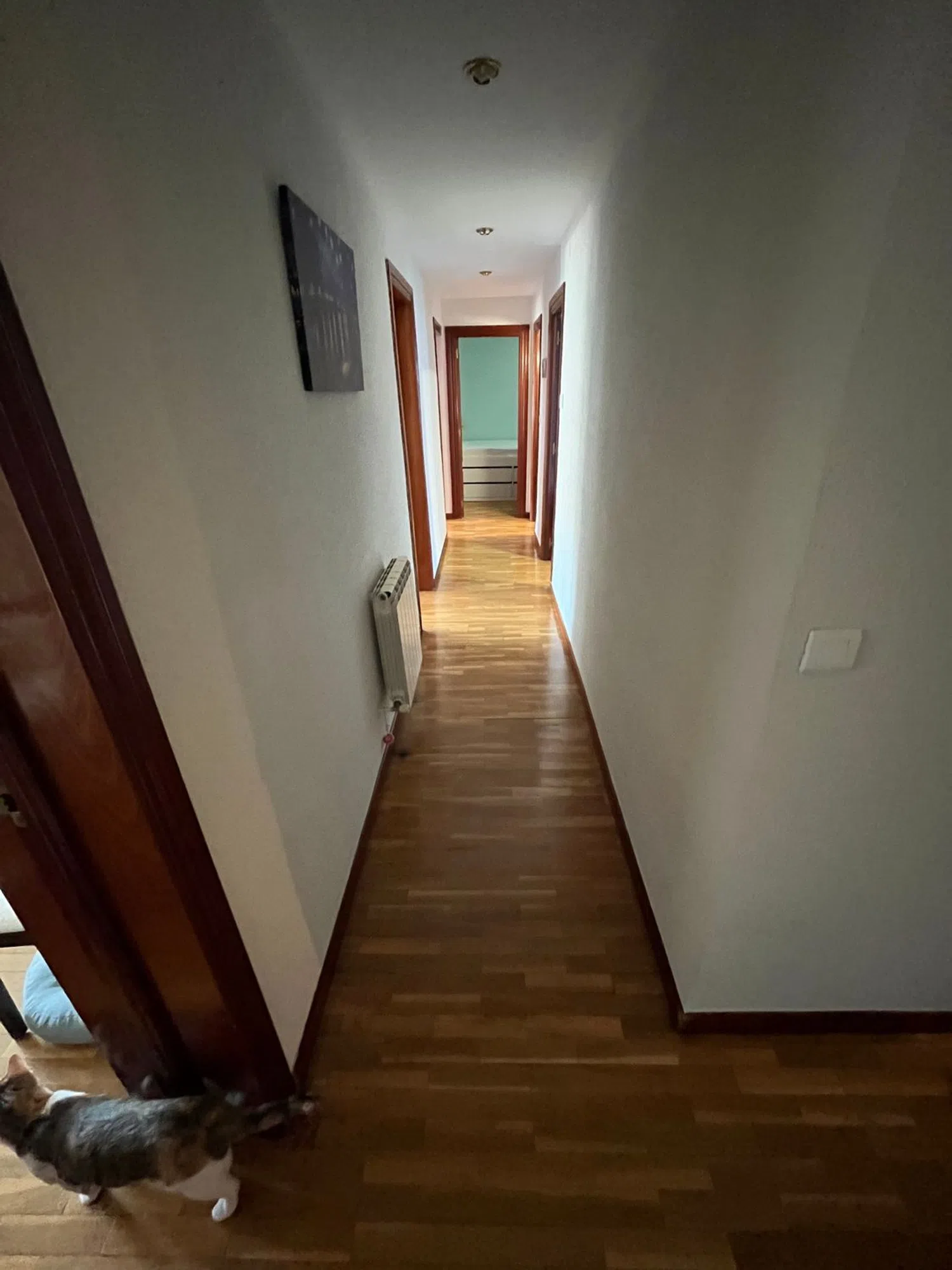 Piso en avenida de Filiberto Villalobos, 68 - Foto 7