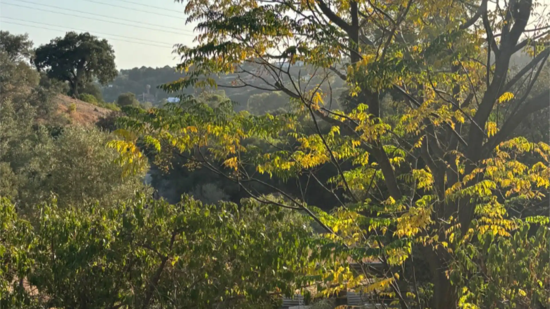 Chalet en  Calle de la Palmera 6 - Foto 9