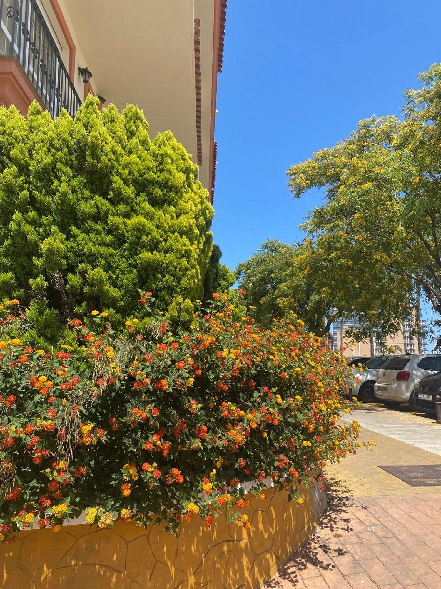 Piso en Avenida del Sol, 18, Hacienda Torrequebrada - Foto 22