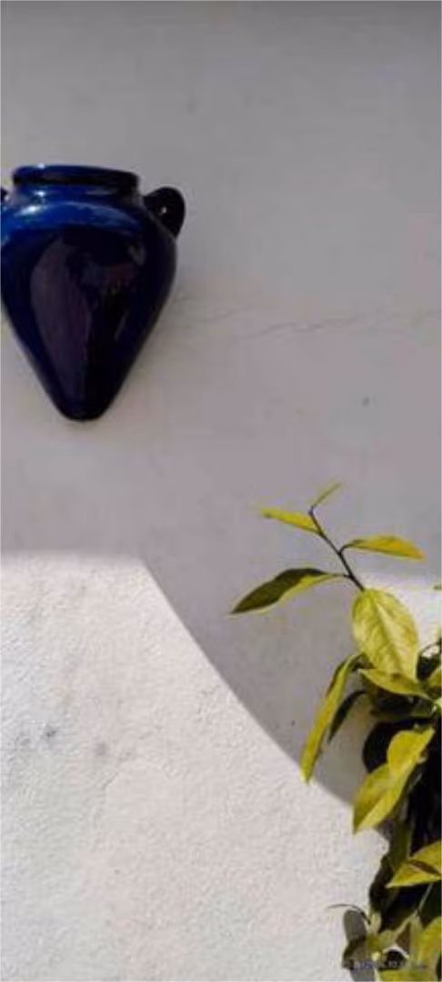 Estudio en higueron - Foto 7