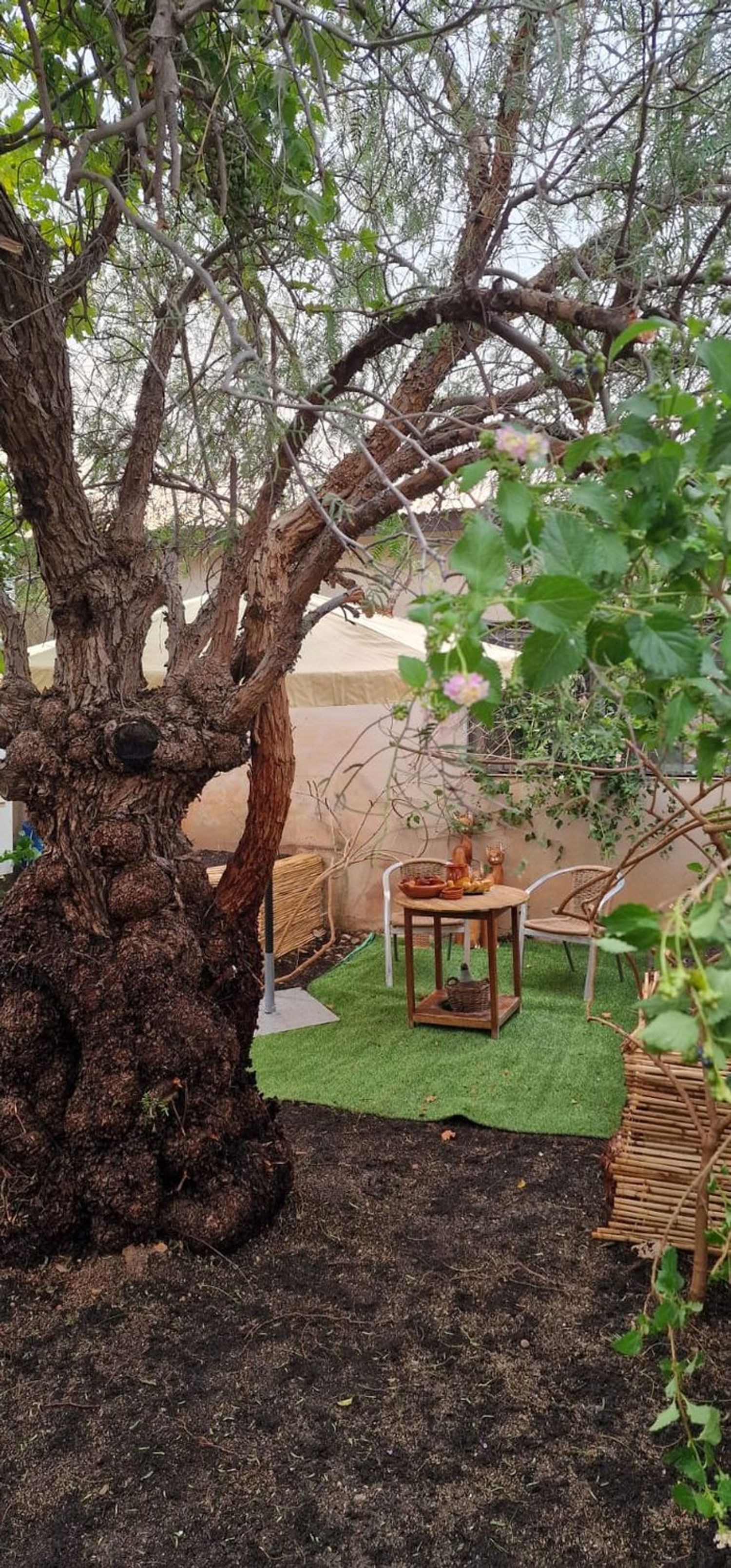 Finca rústica en Paraje Nogueras, 26 - Foto 2