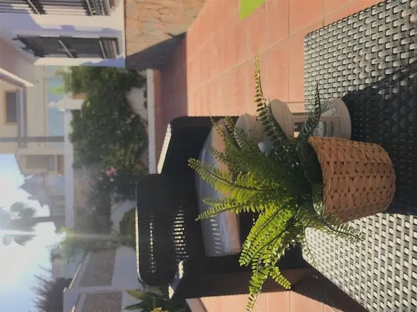 Estudio en calle aceituno s/n - Foto 16