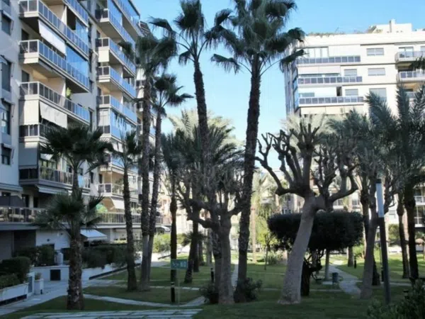 Piso en Historiador Vicente Ramos, 23 - Foto 5