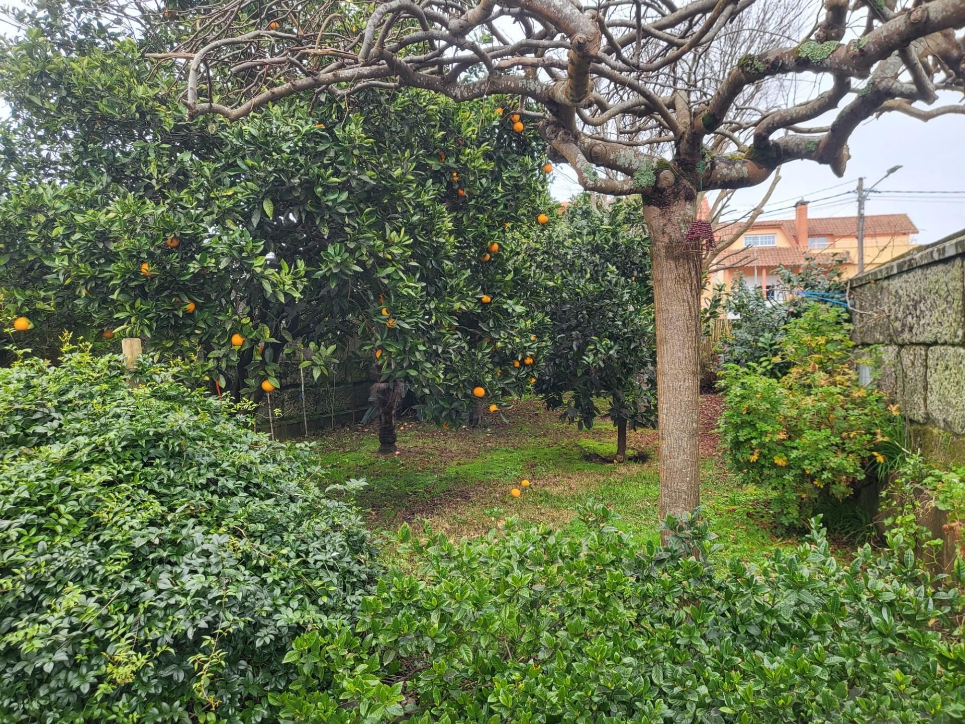 Chalet en  Carretera Bao-Coruxo 84 - Foto 22