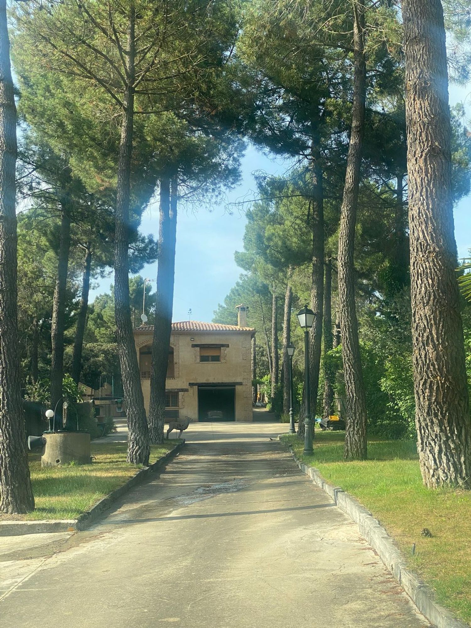 Masía en Pinar De Jabaga, 1 ,2 - Foto 4