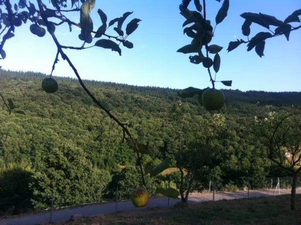 Finca rústica en Tineo - Foto 17