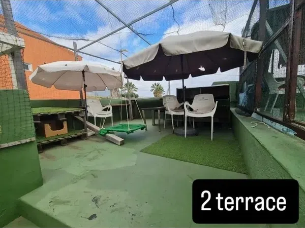 Casa terrera en Carretera General de La Perdoma, 168, La Perdoma - San Antonio - Benijos, La Perdoma - San Antonio - Benijos - Foto 15