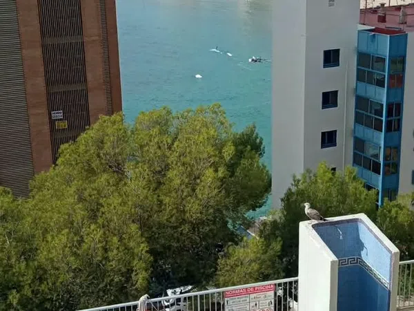 Piso en Calle Alcalde Manuel Catalán Chana, 7, Zona Sierra Helada - Foto 2