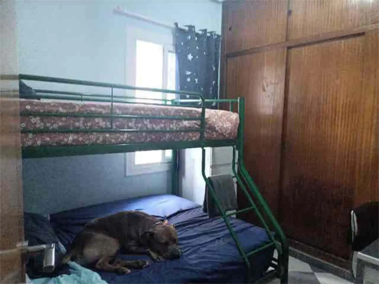 Piso en El Pla - Foto 8