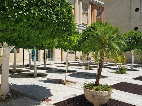 Piso en Calle San Jacinto, 64, Ronda de Triana-Patrocinio-Turruñuelo - Foto 8