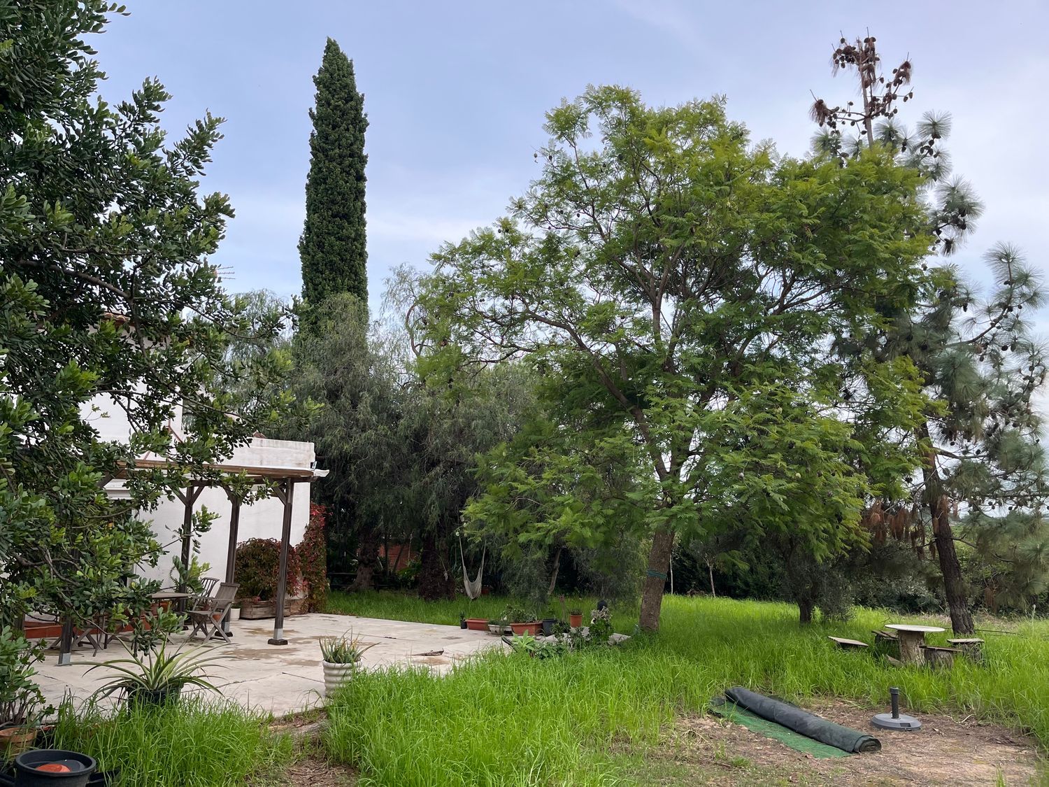 Casa independiente en Diseminado P068, 256 - Foto 10