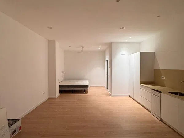 Estudio en calle de Sant Jacint Castanyeda, 22 - Foto 18