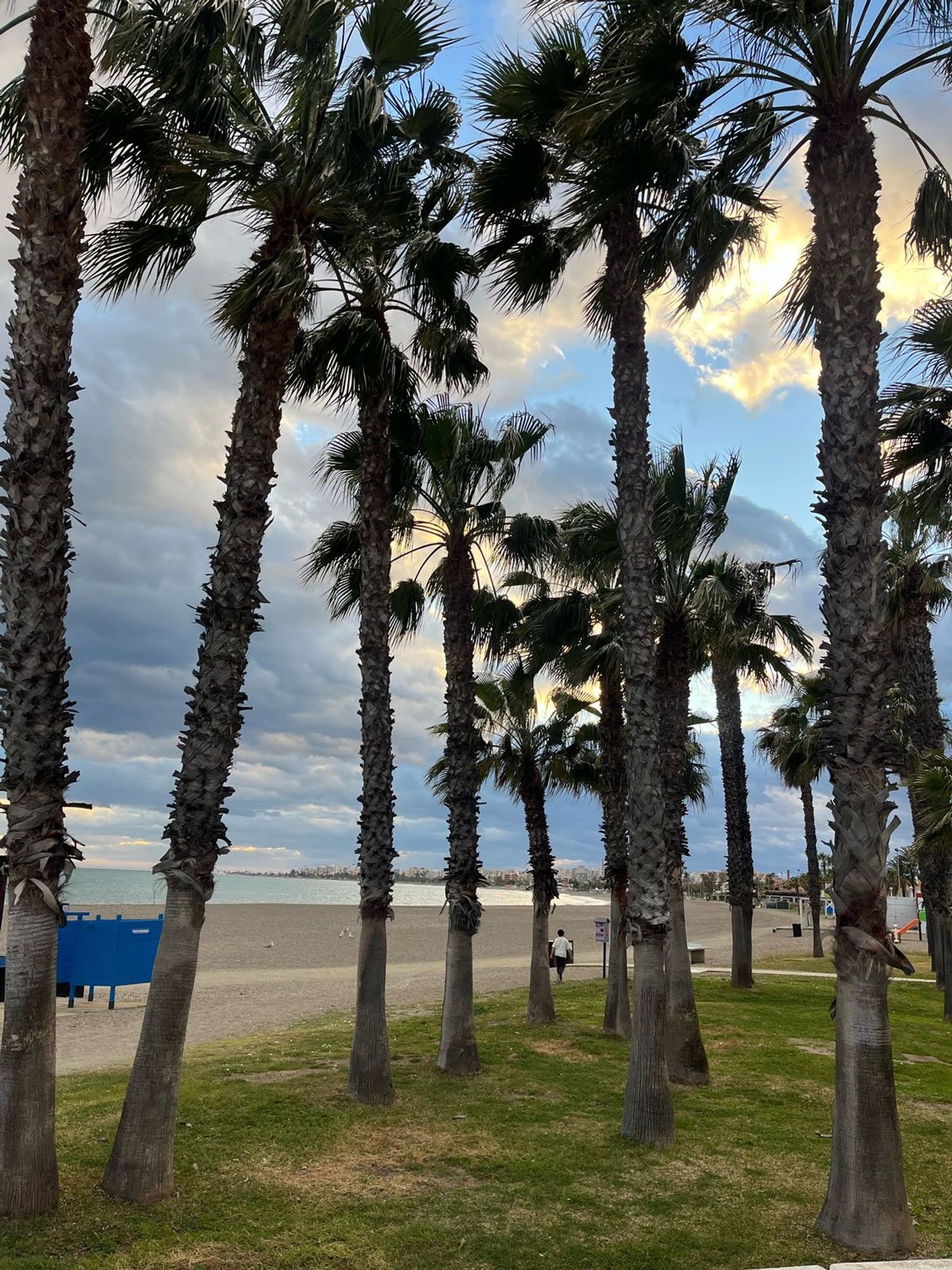 Piso en Avenida de Andalucía, 181, Caleta de Velez, Caleta de Velez - Foto 9