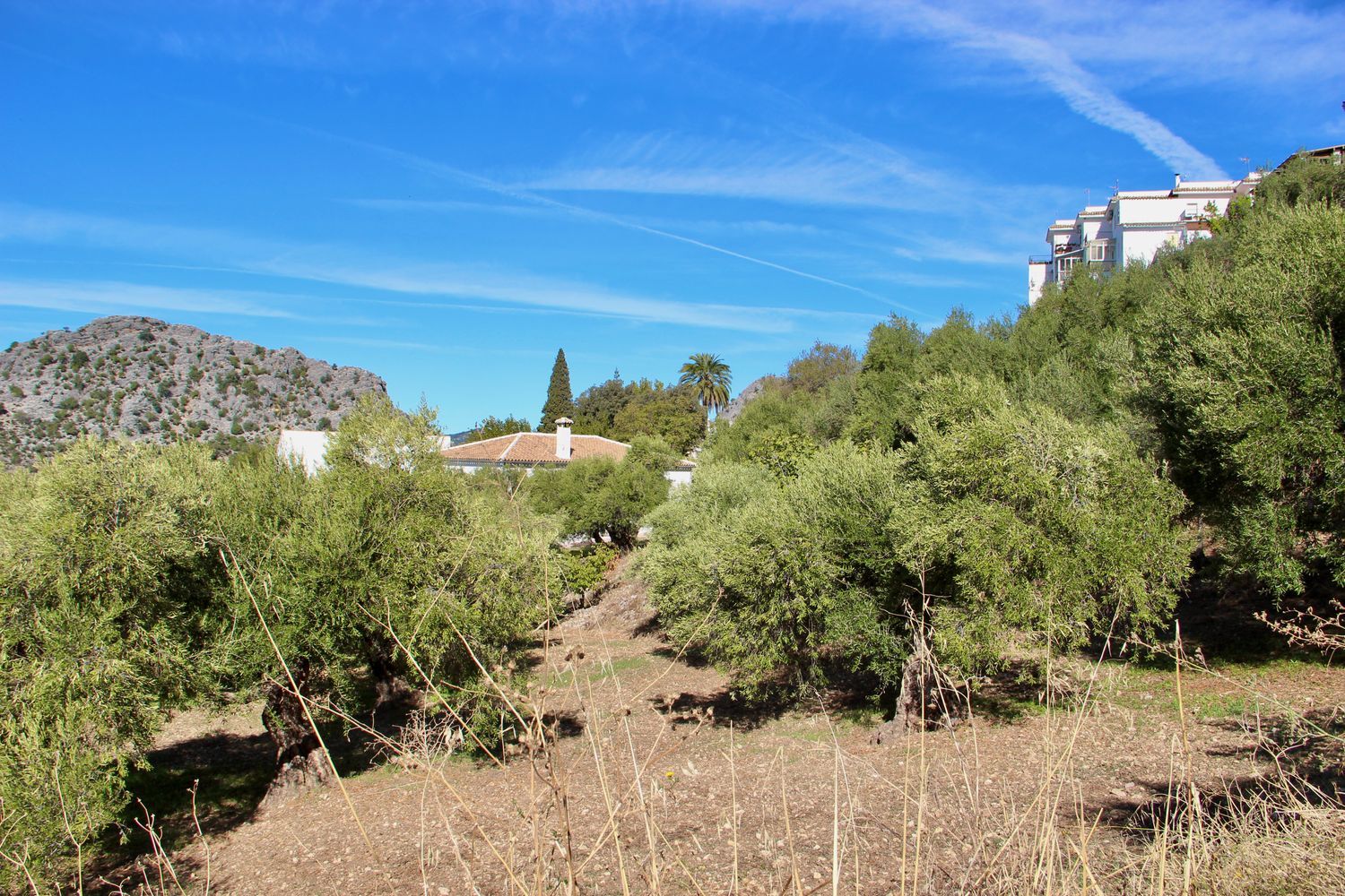 Casa rural en Avenida de Cadiz, 3 - Foto 29