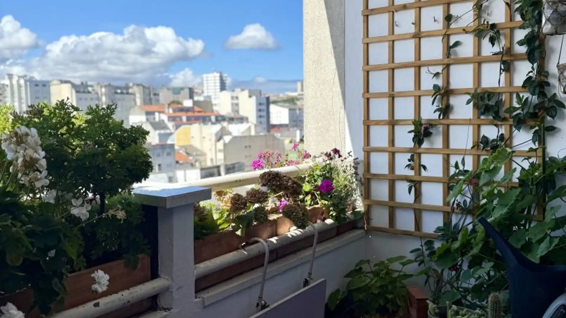 Piso en  Travesía Modesta Goicouría 7 - Foto 26