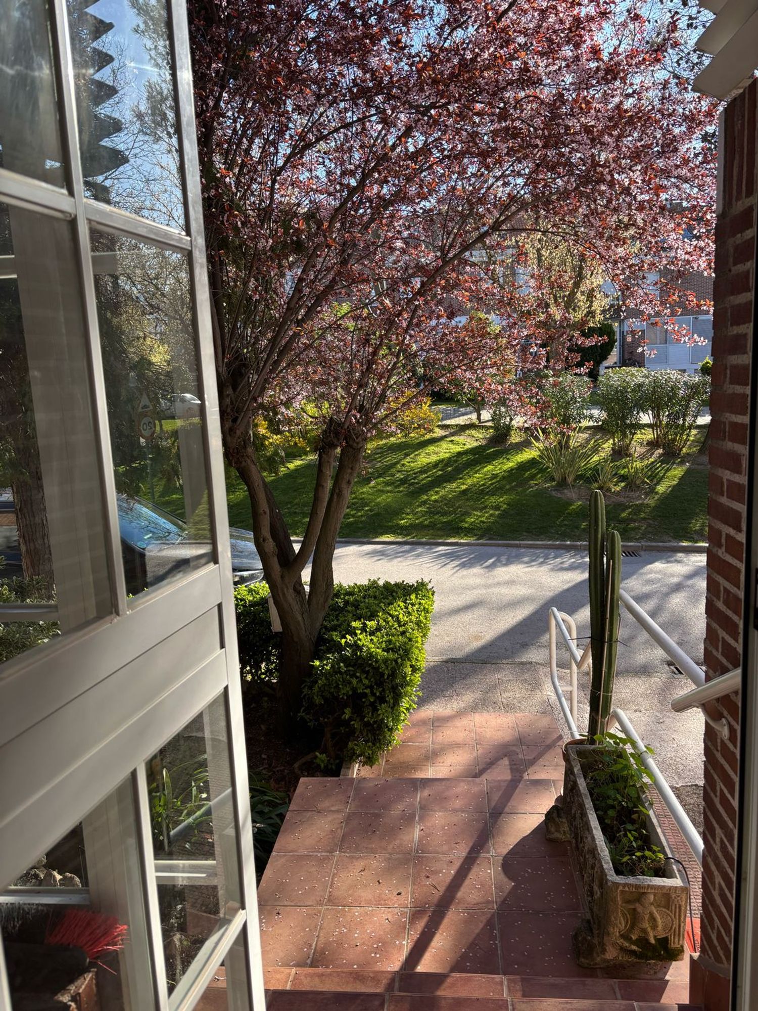 Chalet adosado en Barrio El Pinar- Punta Galea - Foto 4