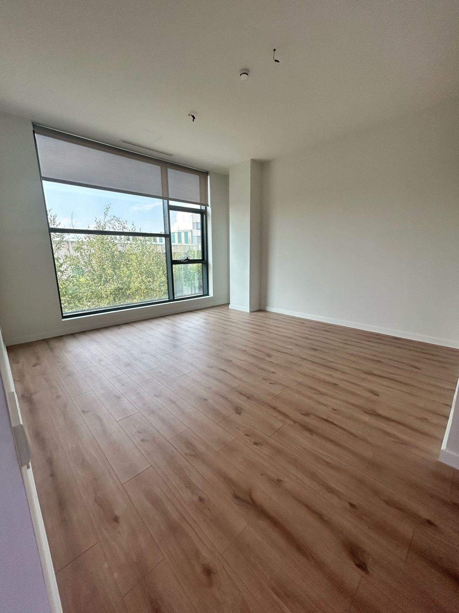 Estudio en Avenida del Cerro del Águila s/n, Pol. Industrial sur, Pol. Industrial sur - Foto 3