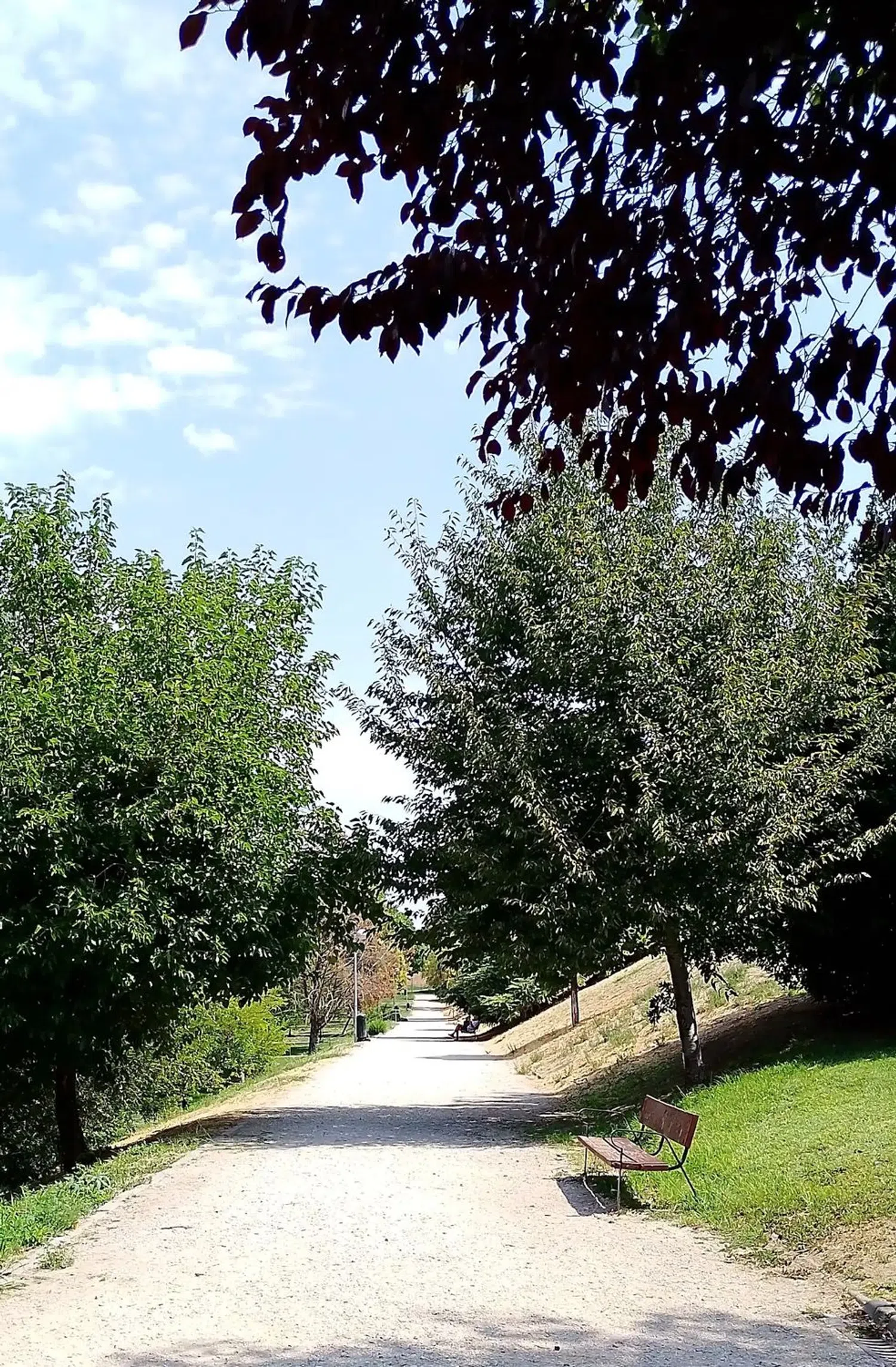 Piso en calle de Manuel Laguna, 30 - Foto 28