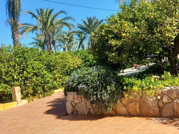 Finca rústica en calle Don Adrián, 1506 - Foto 4