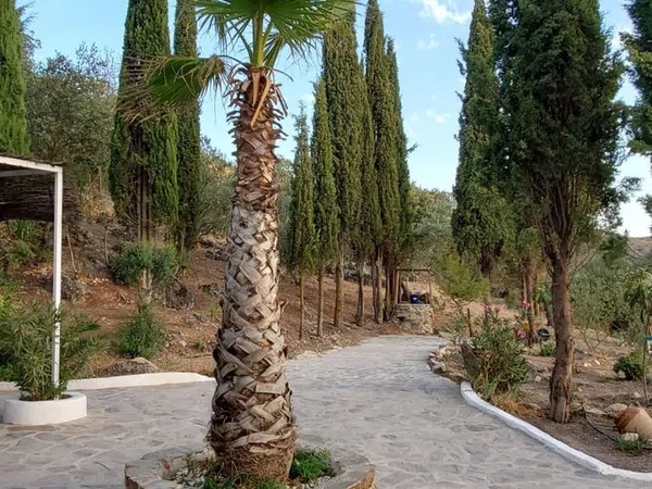 Casa rural en Carretera de Granada, 1 - Foto 5
